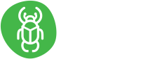Beetle Fitness